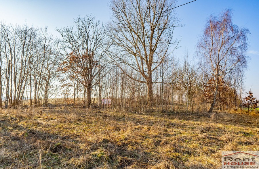 Działka Sprzedaż Ścienne