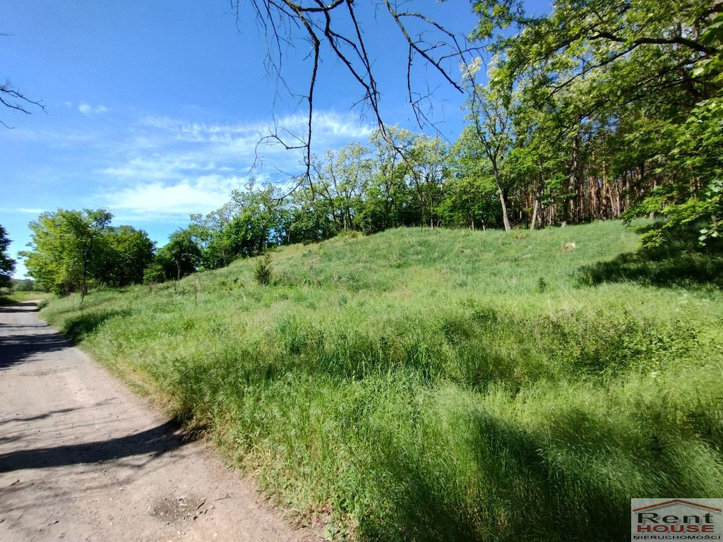 Działka Sprzedaż Stary Błeszyn