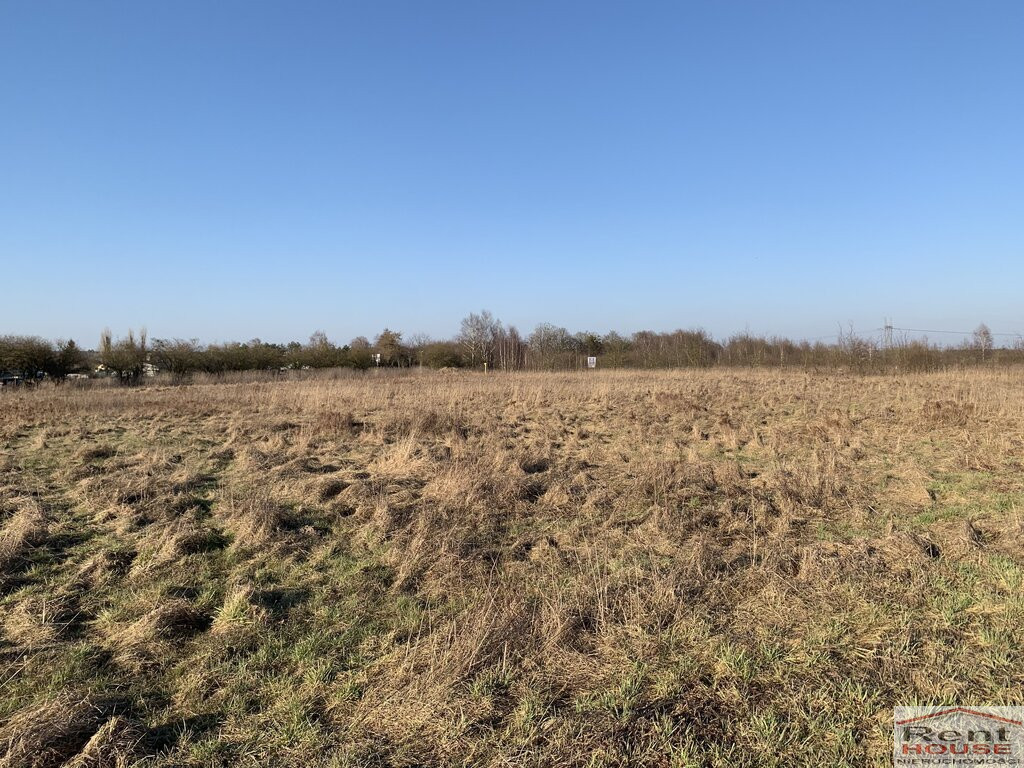 Działka Sprzedaż Żółwia Błoć