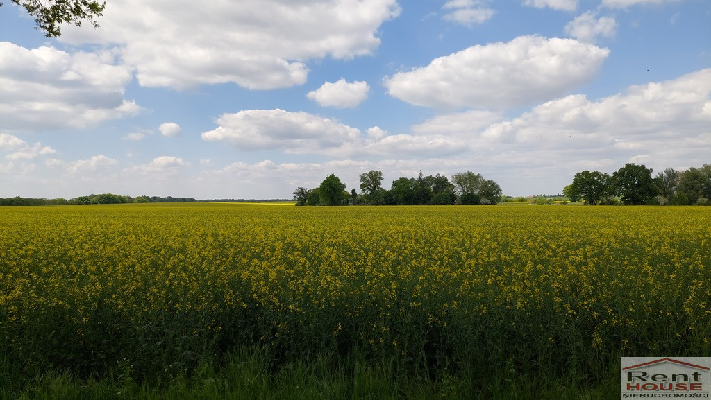 Działka Sprzedaż Mielno