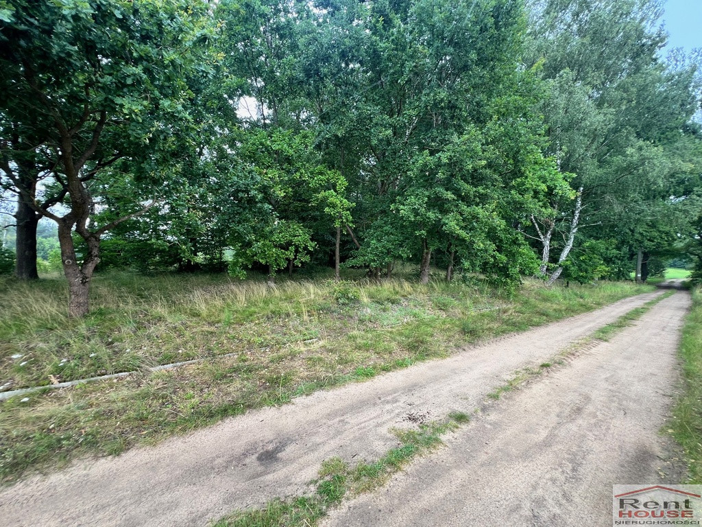 Działka Sprzedaż Storkowo