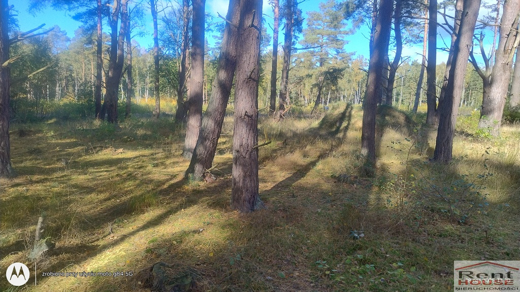 Działka Sprzedaż Dziwnów