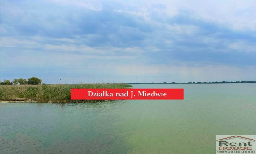 Działka Sprzedaż Wierzbno