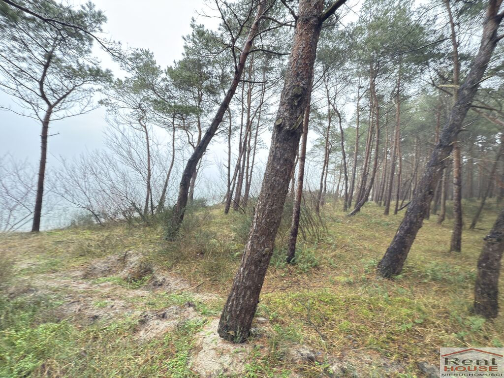 Mieszkanie Sprzedaż Międzywodzie Westerplatte
