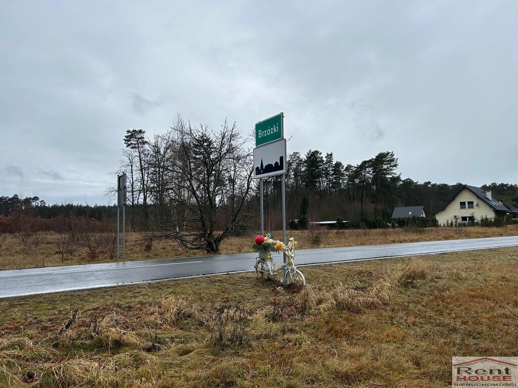 Działka Sprzedaż Brzózki