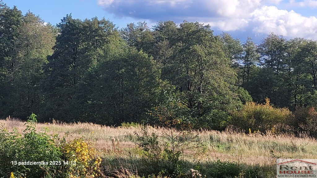 Działka Sprzedaż Rajsko