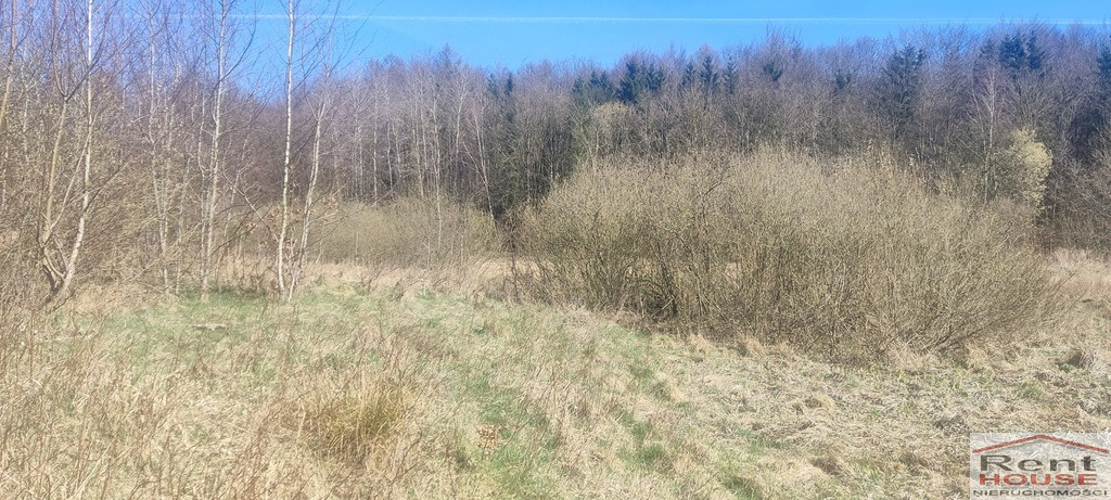 Działka Sprzedaż Linówko