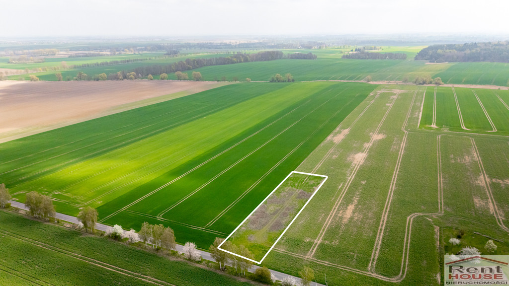 Działka Sprzedaż Pyrzyce
