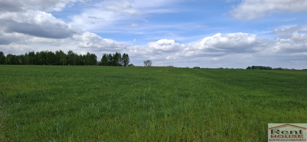 Działka Sprzedaż Bagna