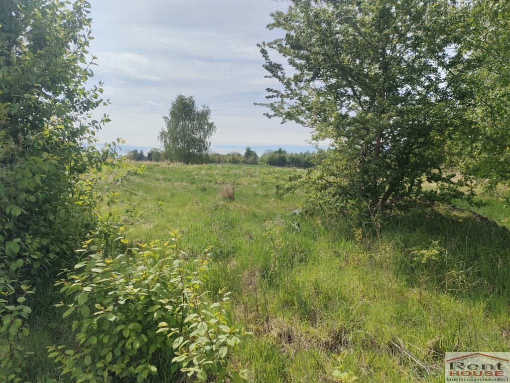 Działka Sprzedaż Lędzin