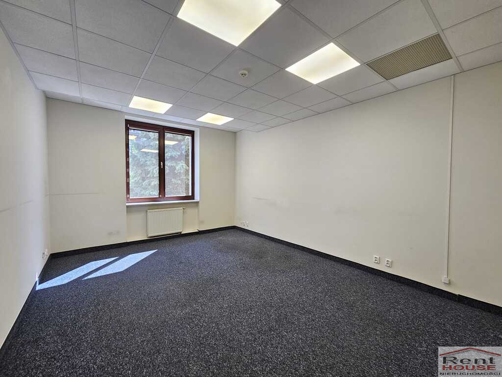 Lokal Wynajem Szczecin Centrum