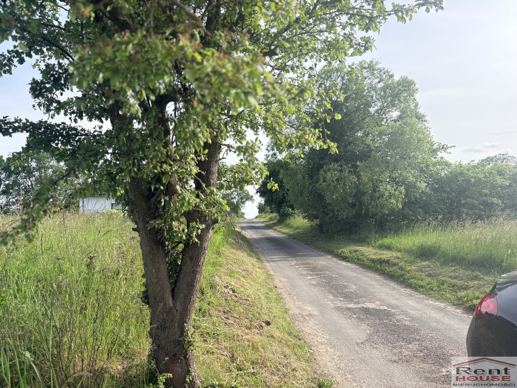 Działka Sprzedaż Przęsocin