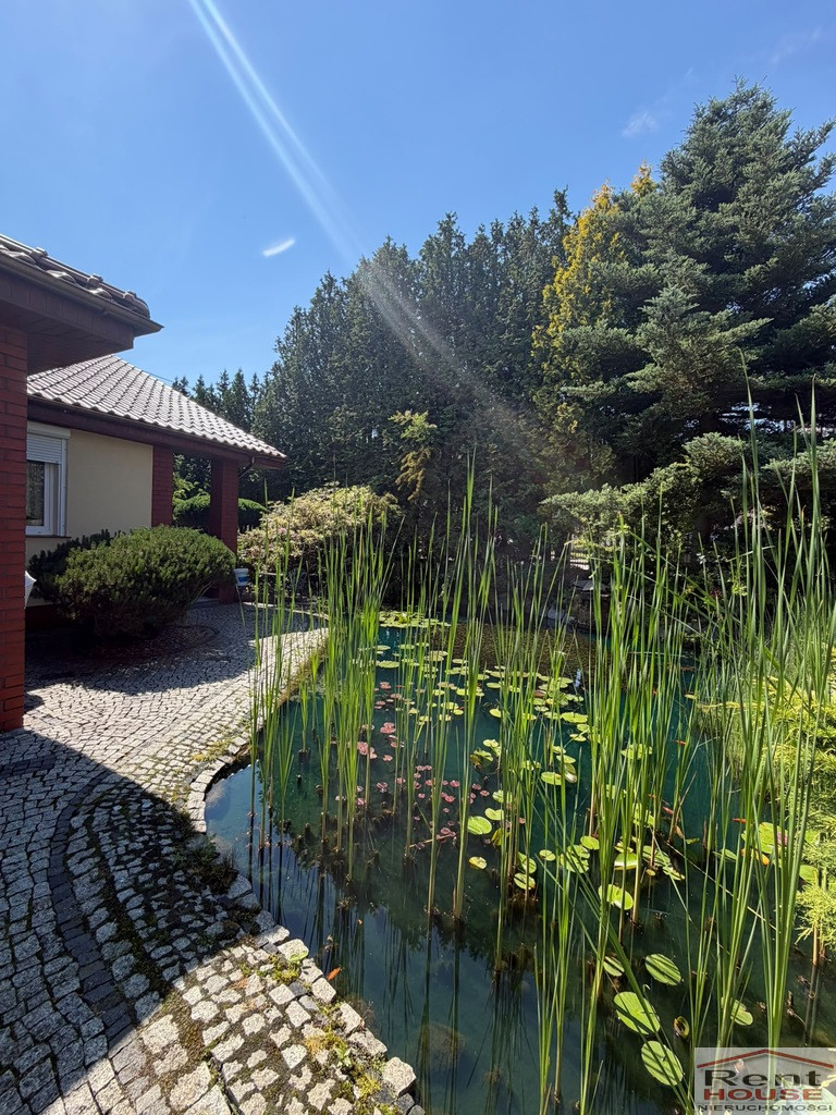 Dom Sprzedaż Bierzwnik Kwiatowa