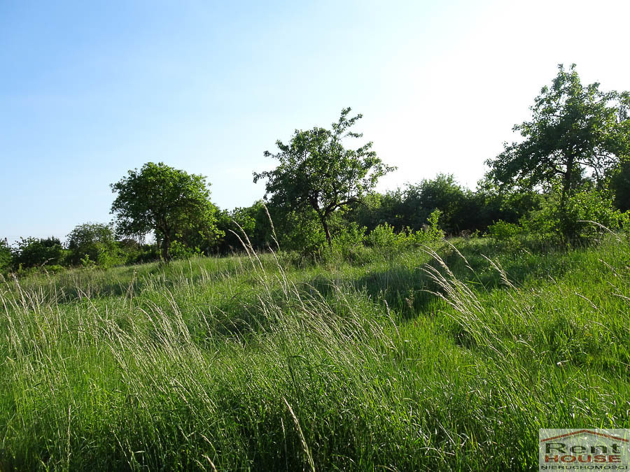 Działka Sprzedaż Binowo