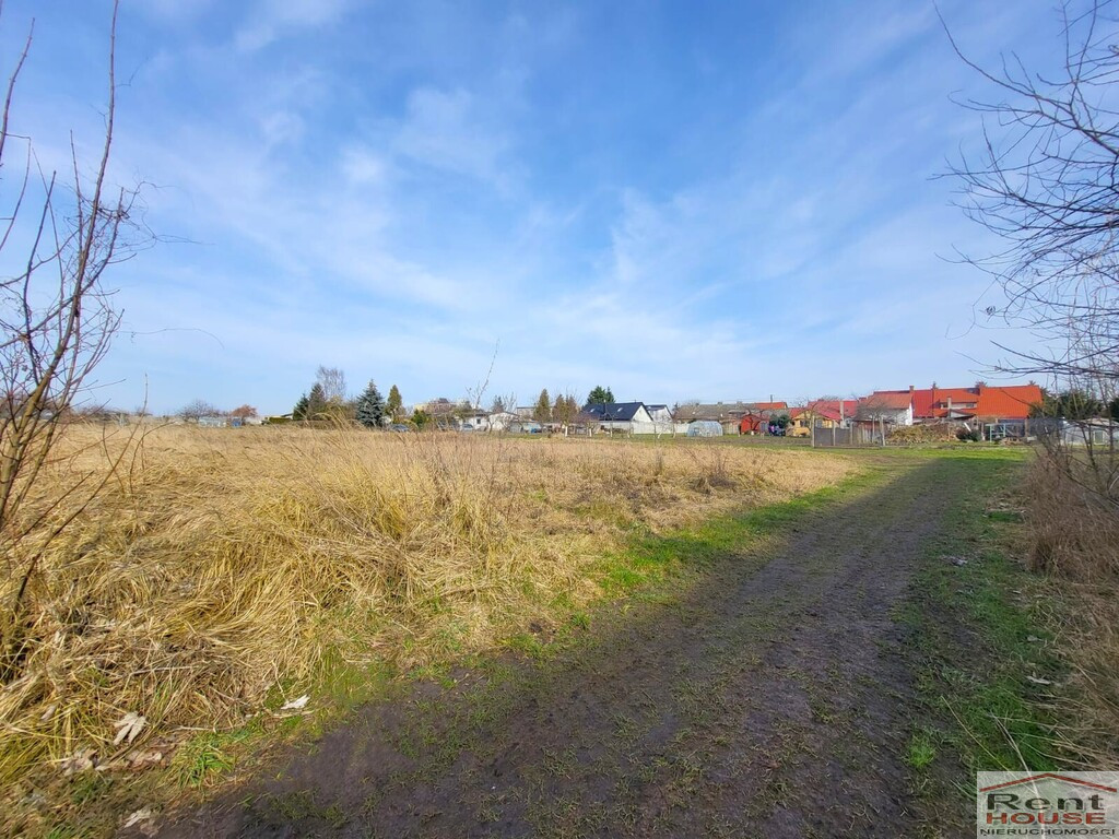 Działka Sprzedaż Koszewo