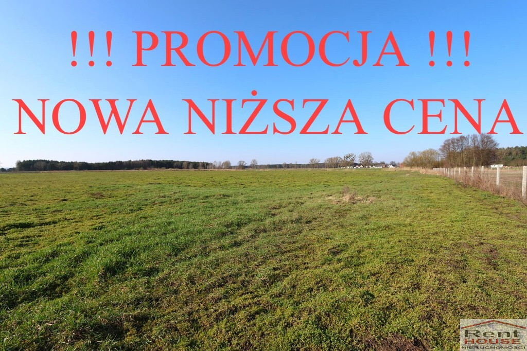 Działka Sprzedaż Lubczyna