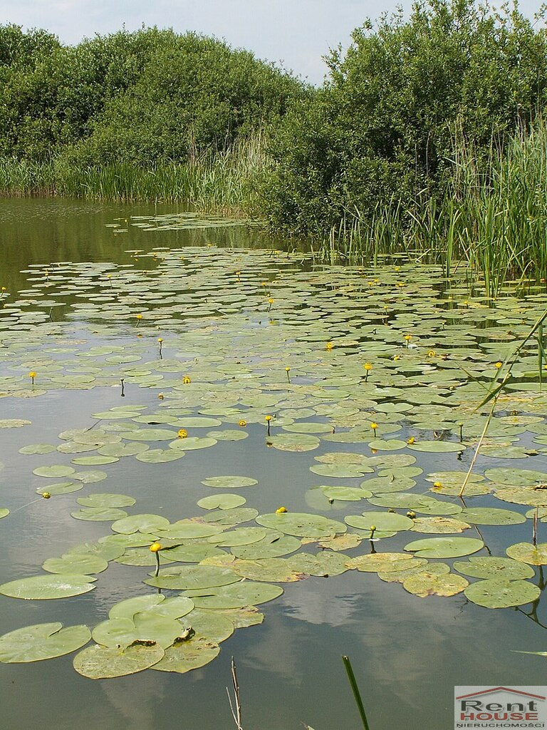 Działka Sprzedaż Giżyn