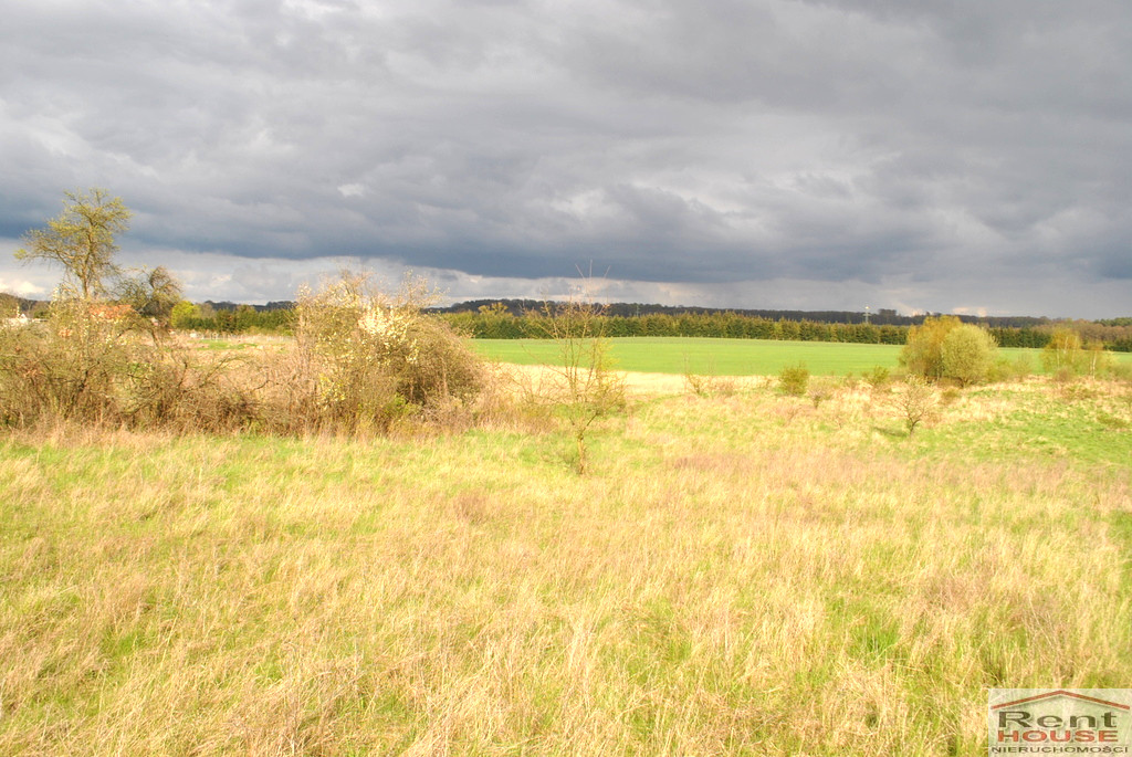 Działka Sprzedaż Binowo