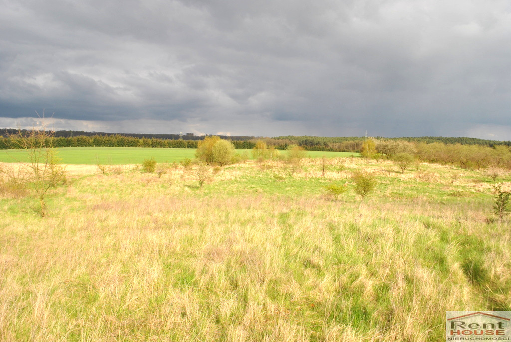 Działka Sprzedaż Binowo