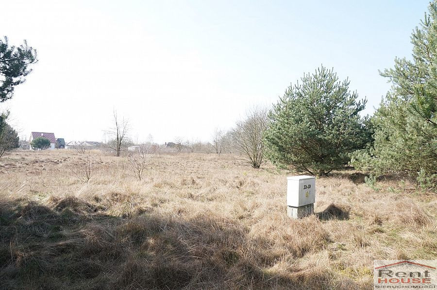 Działka Sprzedaż Rurzyca