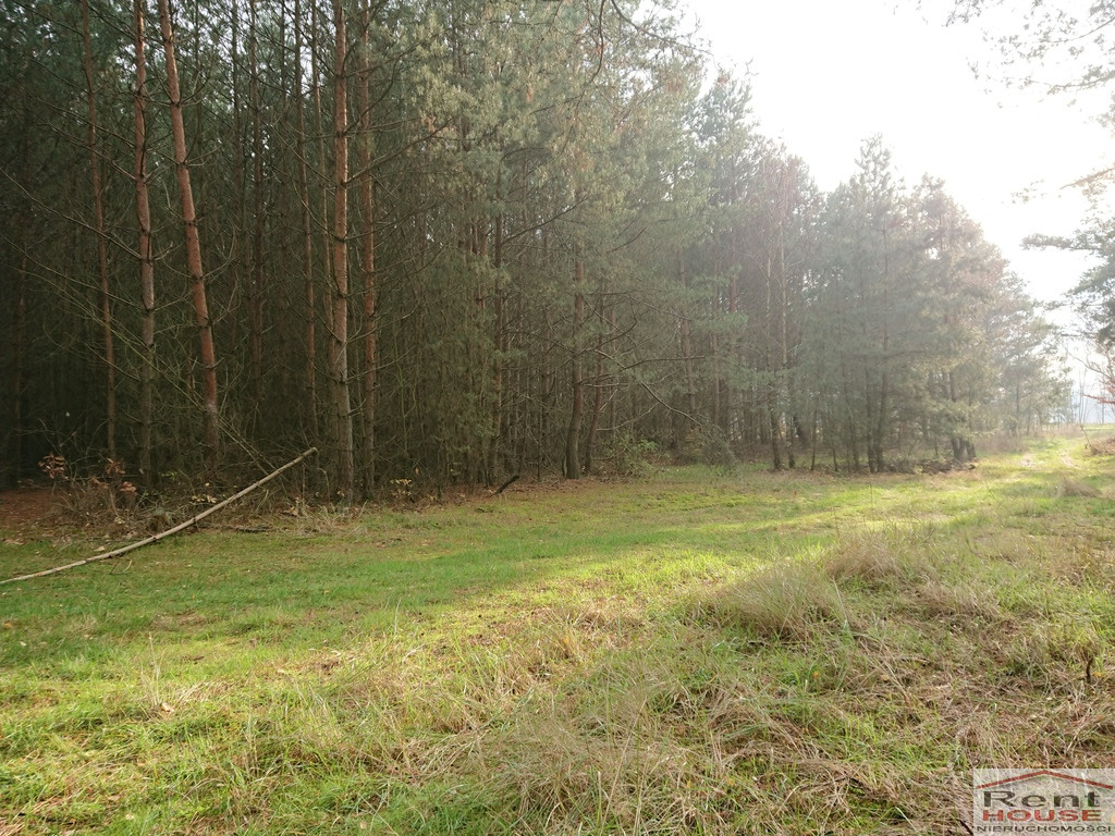 Działka Sprzedaż Starzyce