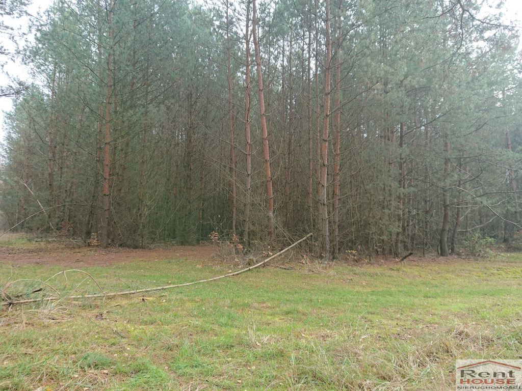 Działka Sprzedaż Starzyce
