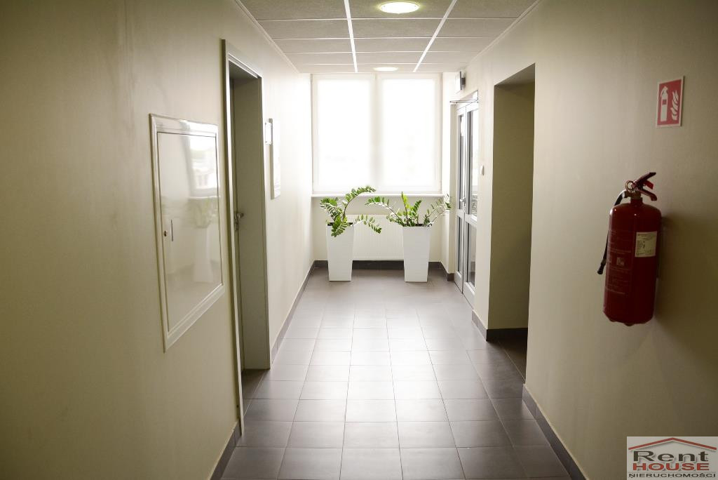 Lokal Wynajem Szczecin Śródmieście