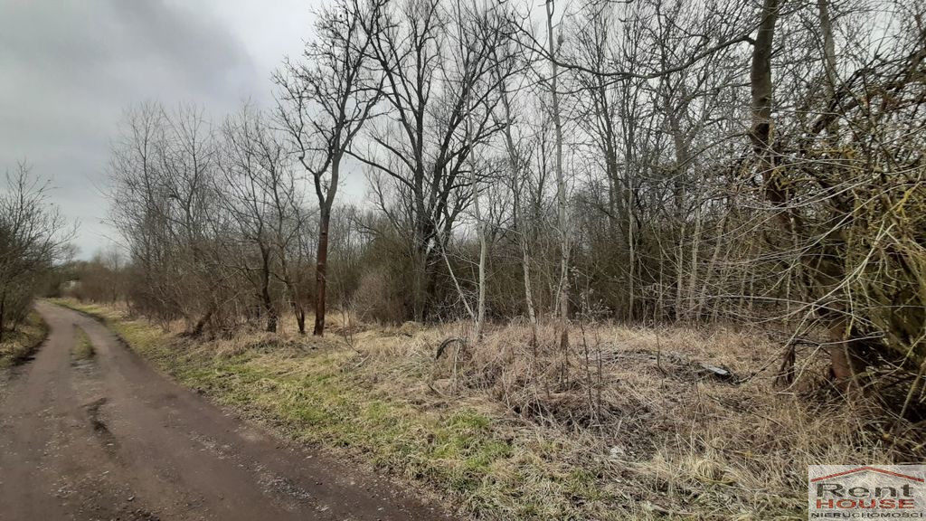 Działka Sprzedaż Karwowo