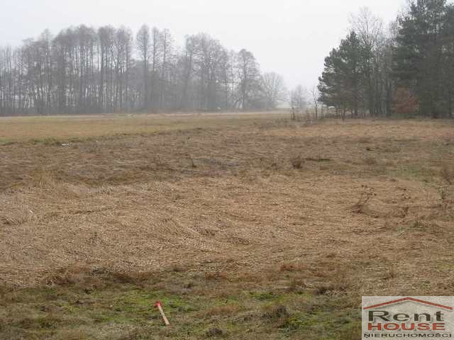 Działka Sprzedaż Stepnica