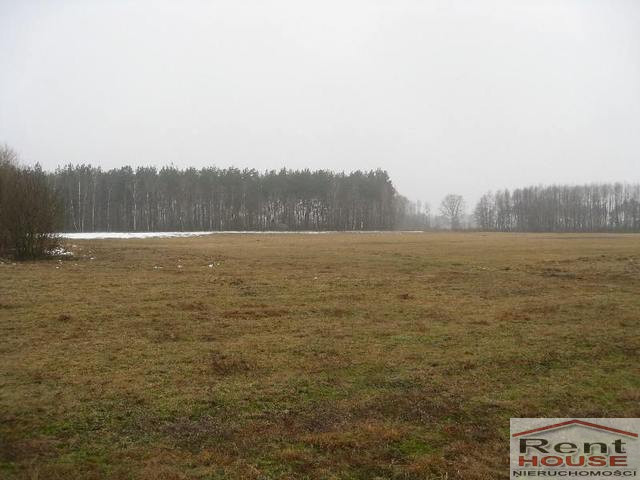 Działka Sprzedaż Stepnica