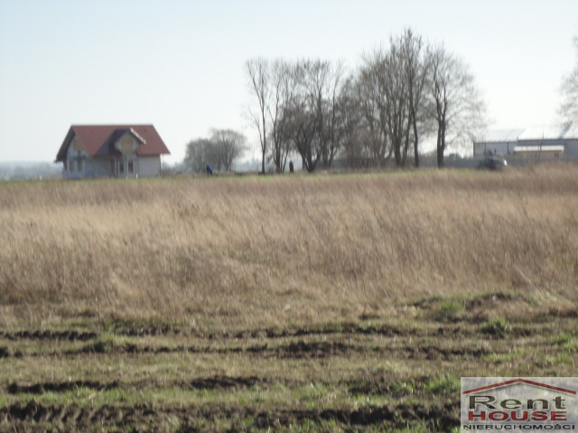 Działka Sprzedaż Turze