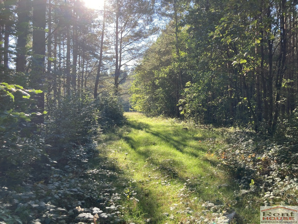Działka Sprzedaż Krzepocin