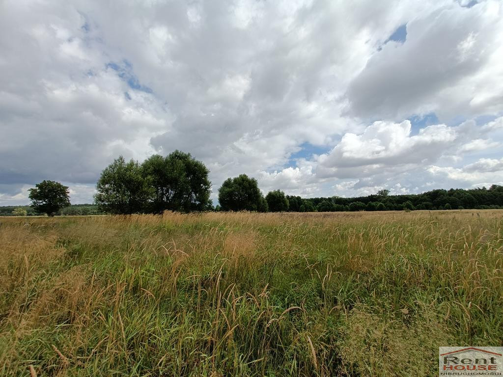 Działka Sprzedaż Żarowo