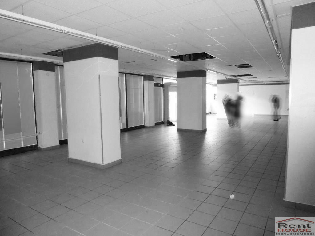 Lokal Wynajem Szczecin Centrum
