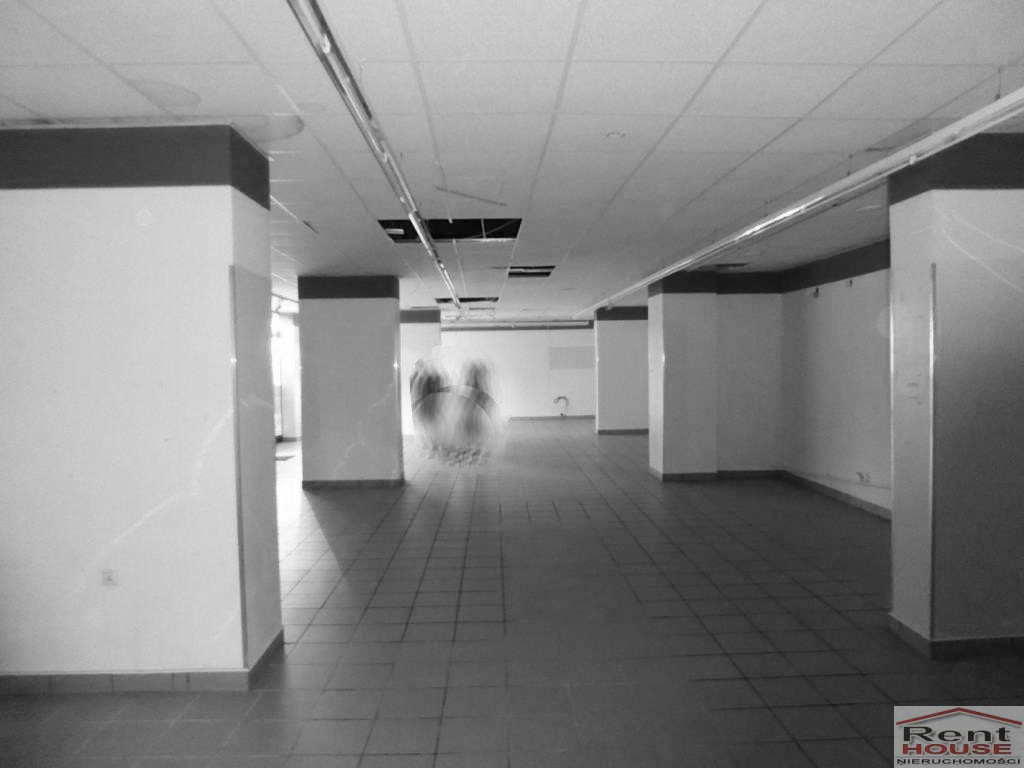 Lokal Wynajem Szczecin Centrum
