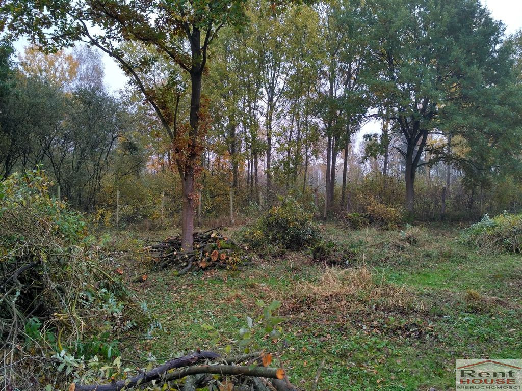 Działka Sprzedaż Grębowo