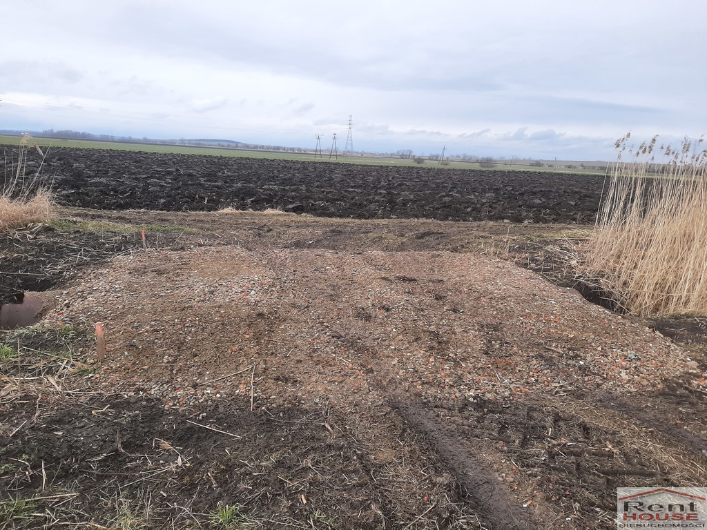 Działka Sprzedaż Pyrzyce