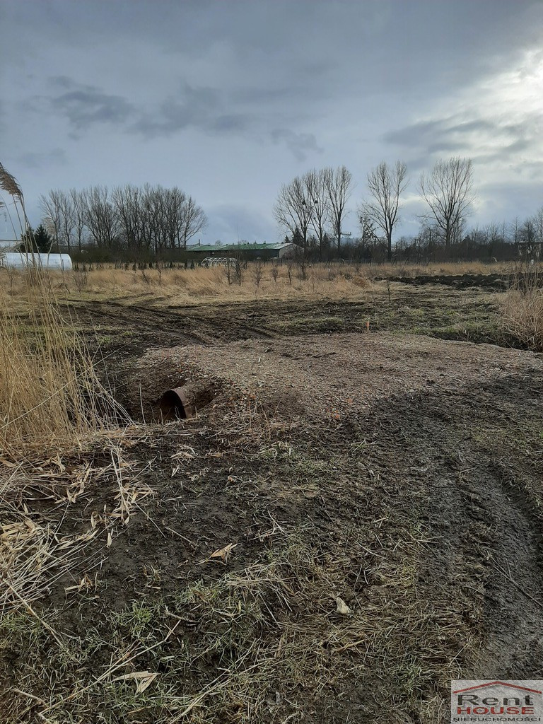 Działka Sprzedaż Pyrzyce