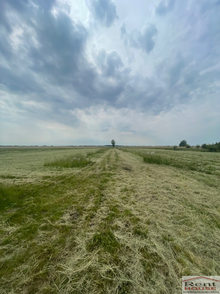 Działka Sprzedaż Wierzbno