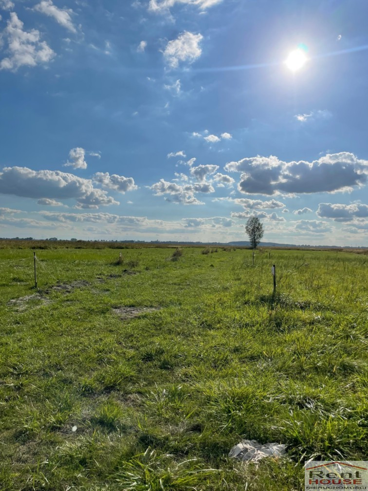 Działka Sprzedaż Wierzbno