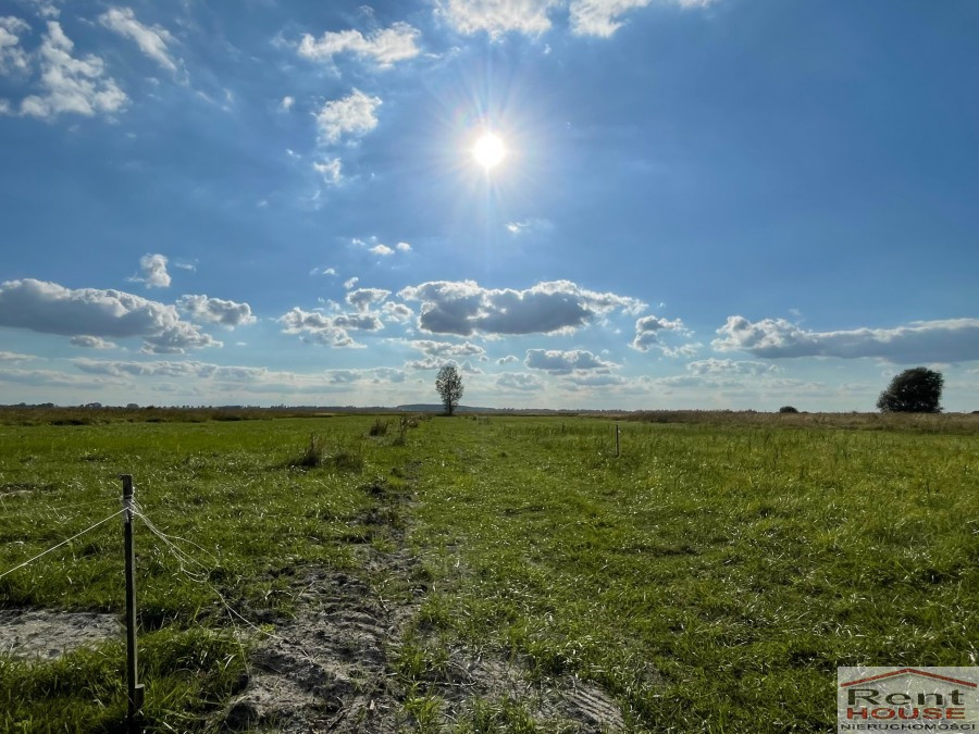 Działka Sprzedaż Wierzbno