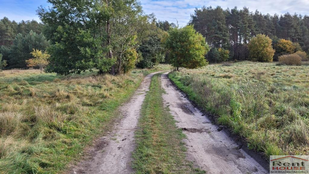 Działka Sprzedaż Warnowo