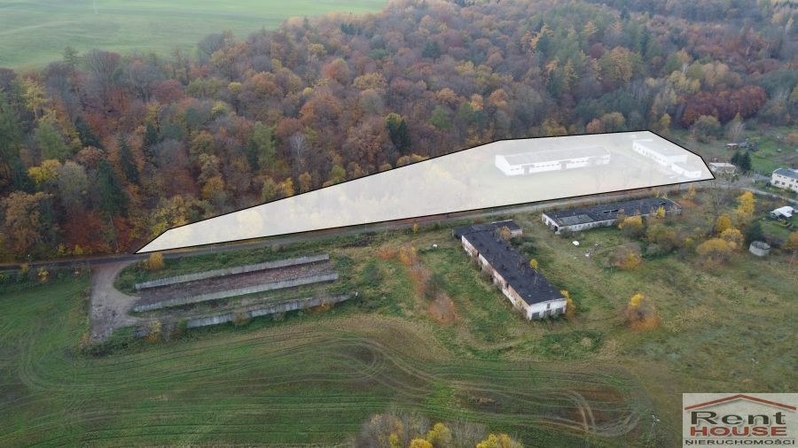 Magazyn Sprzedaż Dziwogóra