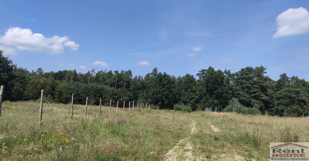 Działka Sprzedaż Kościno