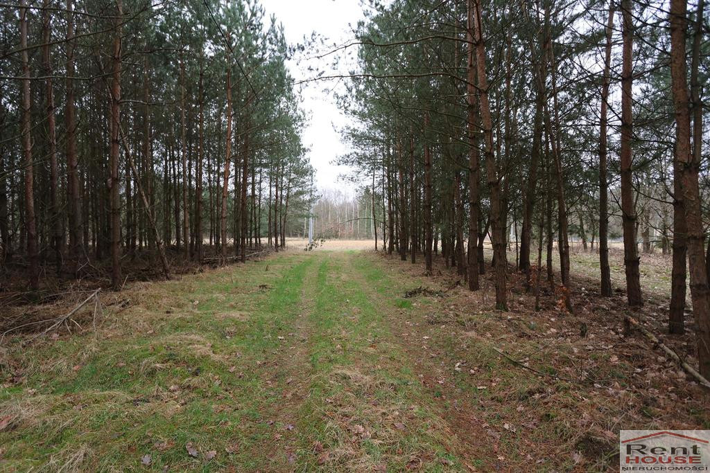 Działka Sprzedaż Krzywice