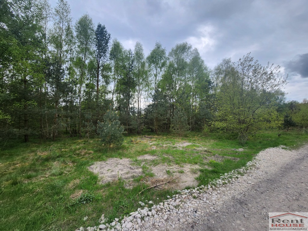 Działka Sprzedaż Tanowo Brzozowa