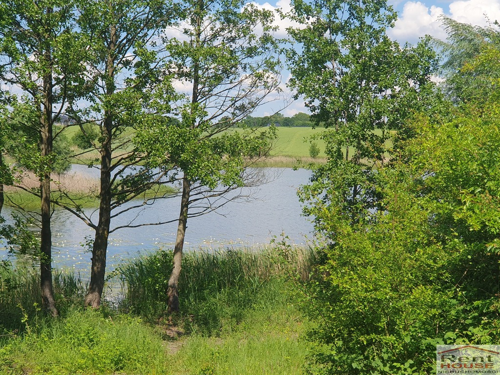 Działka Sprzedaż Zieleniewo