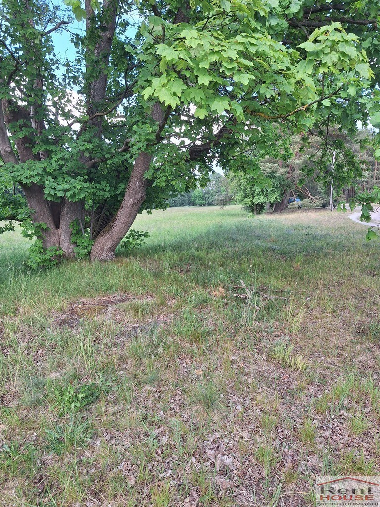 Działka Sprzedaż Tanowo Szczecińska