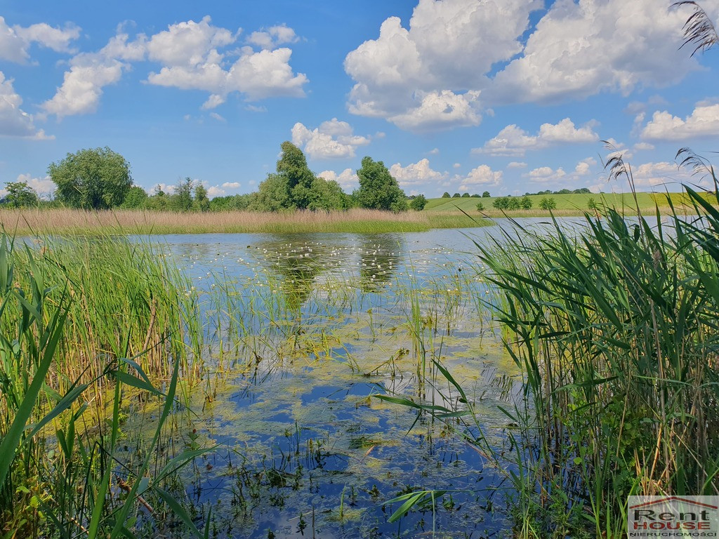 Działka Sprzedaż Zieleniewo