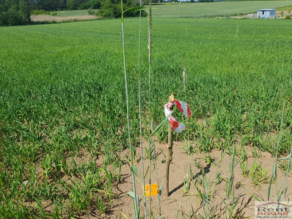 Działka Sprzedaż Zieleniewo